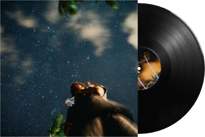 SLEEP PARALYSIS LP VINYL